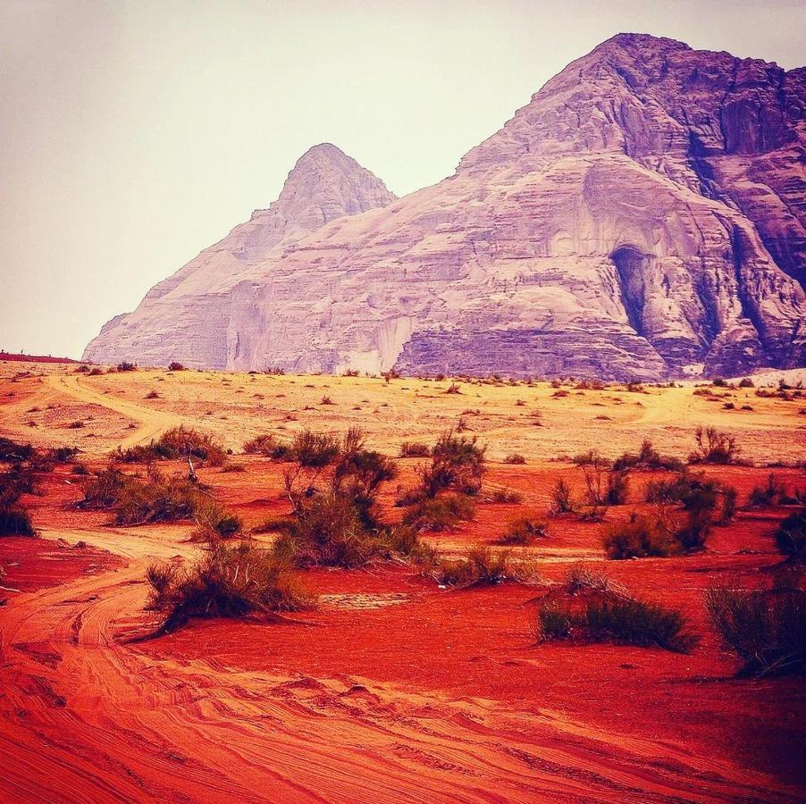 Maraheb Luxury Camp Hotel Wadi Rum Exterior foto